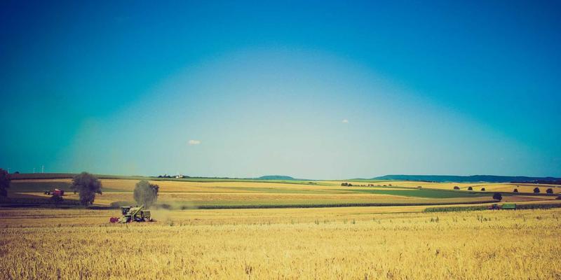 万匹屯19号生活圈：解锁清洁用品选购与居家智慧