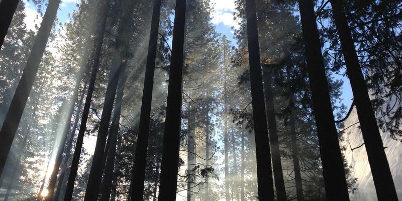 万匹屯2：一站式日用百货与家居用品购物新地标