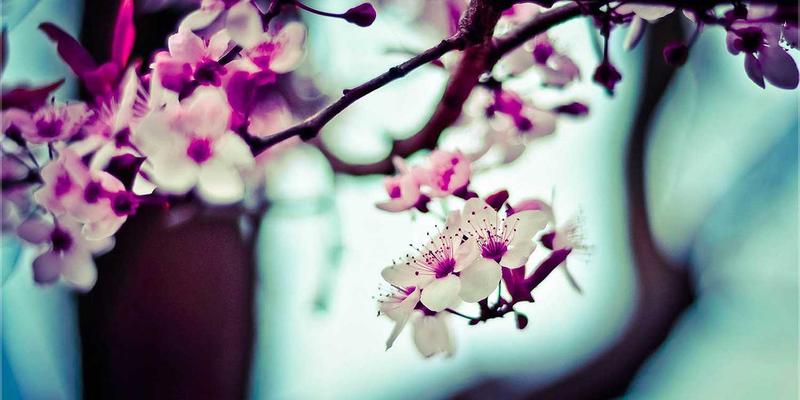 万匹屯59：一站式清洁护理生活馆，打造品质生活新体验