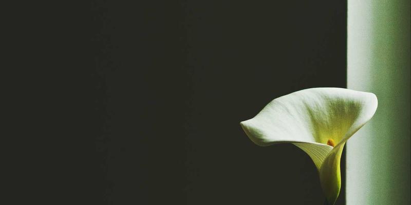 万匹屯67号：一站式清洁用品与日用百货购物新地标