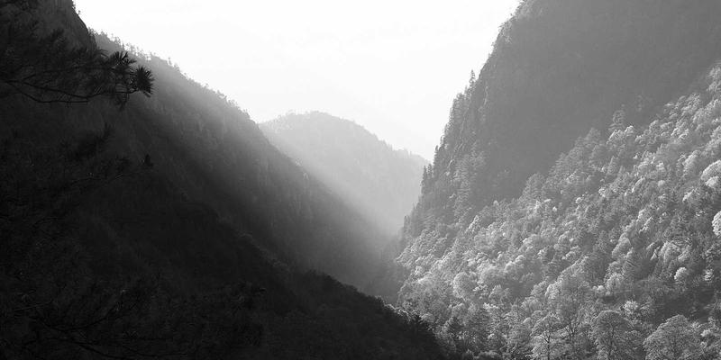 万匹屯优势：重新定义您的家居用品购物体验，打造理想生活日常