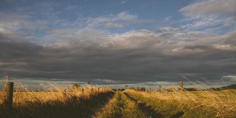 万匹屯如何运用社区大数据优化家居用品与日用百货的精准营销与库存管理