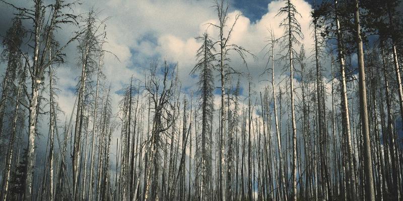 万匹屯工业旅游新体验：探秘生产线，定制你的日常必需品购物之旅