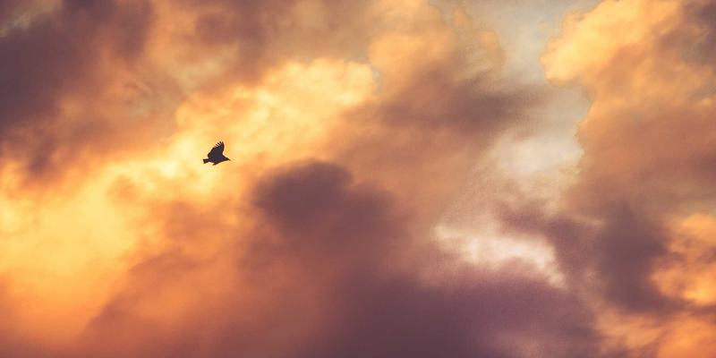 万匹屯方言中的日用百货与个人护理词汇：解码地域文化的活化石