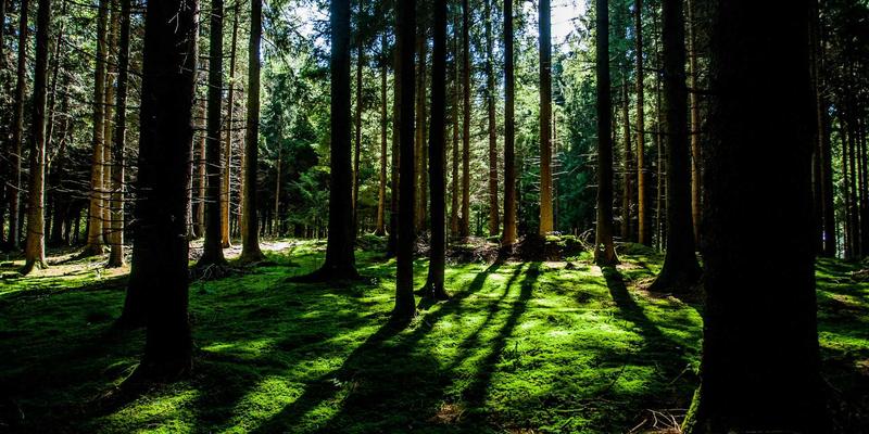 万匹屯社区团购模式：如何通过本地化供应链优化生活用品与个人护理品的采购体验