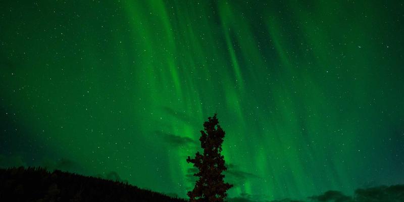 万匹屯社区营造新范式：公共空间如何重塑邻里社交与家居用品共享生态