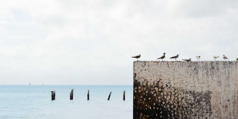 万匹屯终极教程：日用百货与家居用品的选购与搭配全攻略