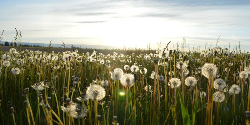 万匹屯银发经济新蓝海：适老化购物改造与社区养老服务的融合之道